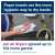 290190 Hygiene - paper stats 290190 Hygiene - paper stats