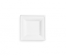 VW VPSQ-06 Square Bagasse Plate 6inch (500)