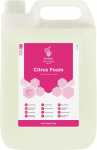Evans Citrus Foam Luxury Hand & Body Wash 5L(Each)