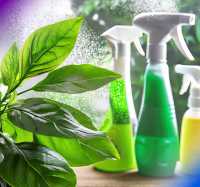 Eco Friendly Eco Friendly